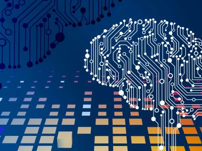 Intellectual Property Rights
