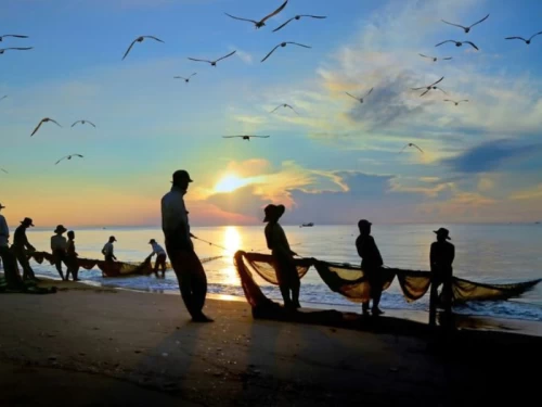 Decree 219/2025: Major Reforms for Hiring Foreign Workers in Vietnam Effective August 7, 2025