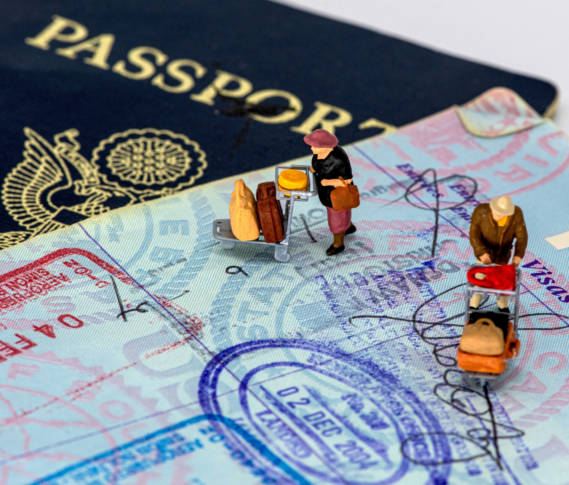 Work Permit, TRC & Visa