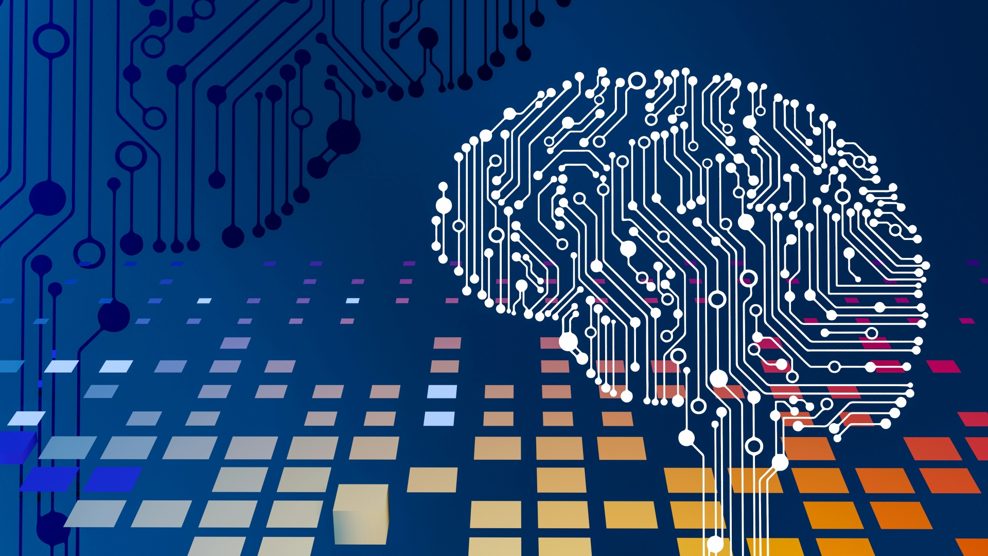 Intellectual Property Rights